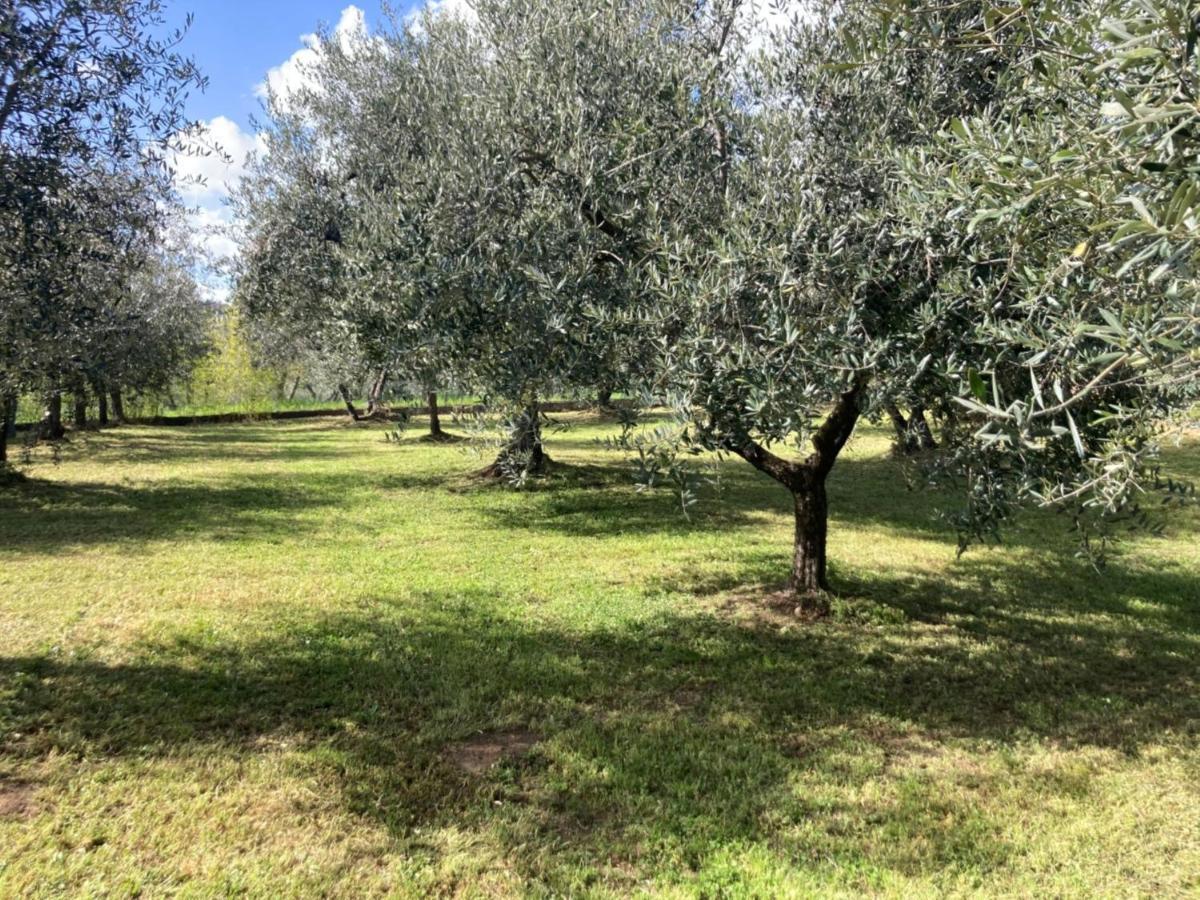 Villa Toscana Loro Ciuffenna Exterior foto